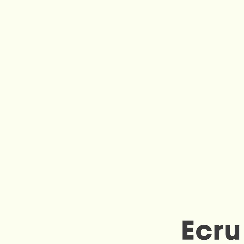 Kwantum Muurverf Mat Ecru 2.5 L