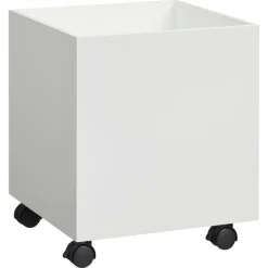 Kwantum Opbergbox Tuleda